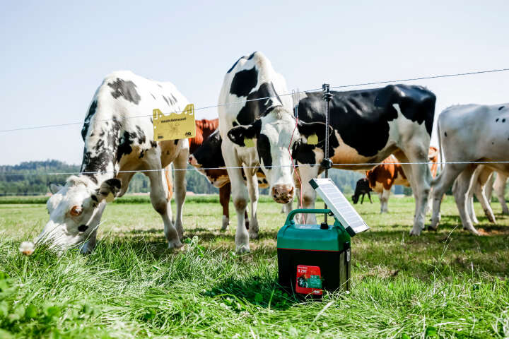 AKO Power Shock B 290